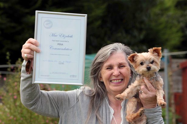 yorkshire terrier saved owner's life twice