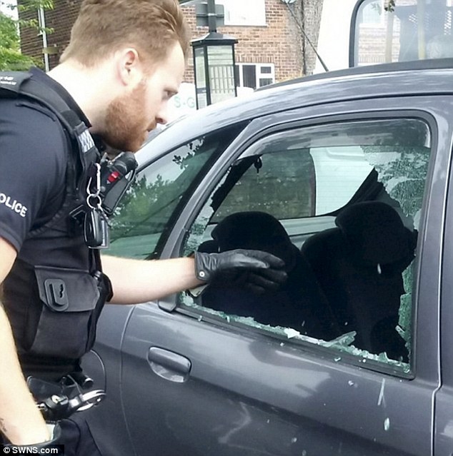 yorkshire terrier saved by cops inside a hot car