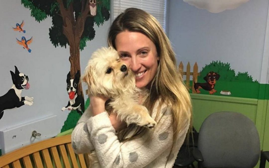 Lost Yorkie Goes for 75 Mile Walk in New York!
