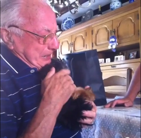 Widowed Grandfather Sobs Over Surprise Gift of Yorkie Puppy